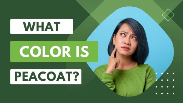 WHAT COLOR IS PEACOAT